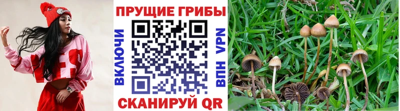 Галлюциногенные грибы прущие грибы  Домодедово 
